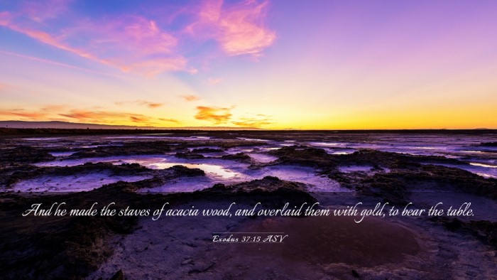 Picture 03 - Exodus 37:15 ASV Desktop Wallpaper - And he made the staves of acacia wood, and - Desktop Bible Verse Wallpaper