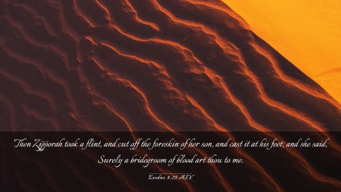Picture 03 - Exodus 4:25 ASV Desktop Wallpaper - Then Zipporah took a flint, and cut off the - Desktop Bible Verse Wallpaper