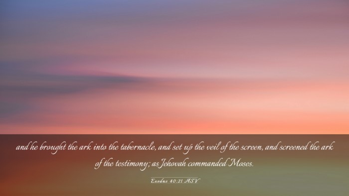 Picture 03 - Exodus 40:21 ASV Desktop Wallpaper - and he brought the ark into the tabernacle, and - Desktop Bible Verse Wallpaper