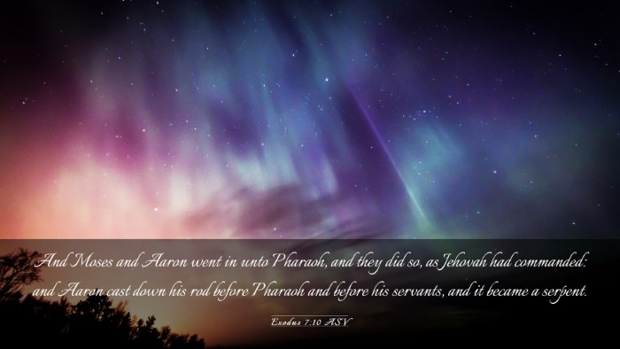 Picture 03 - Exodus 7:10 ASV Desktop Wallpaper - And Moses and Aaron went in unto Pharaoh, and - Desktop Bible Verse Wallpaper