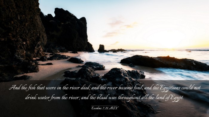 Picture 03 - Exodus 7:21 ASV Desktop Wallpaper - And the fish that were in the river died; and the - Desktop Bible Verse Wallpaper