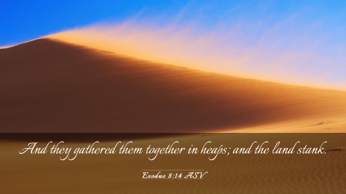 Picture 03 - Exodus 8:14 ASV Desktop Wallpaper - And they gathered them together in heaps; and the - Desktop Bible Verse Wallpaper