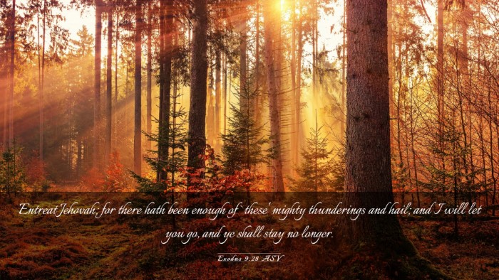 Picture 03 - Exodus 9:28 ASV Desktop Wallpaper - Entreat Jehovah; for there hath been enough of - Desktop Bible Verse Wallpaper