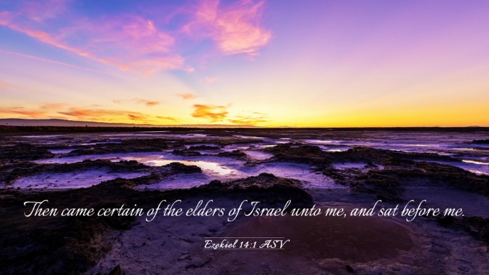 Picture 03 - Ezekiel 14:1 ASV Desktop Wallpaper - Then came certain of the elders of Israel unto - Desktop Bible Verse Wallpaper