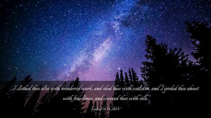 Picture 03 - Ezekiel 16:10 ASV Desktop Wallpaper - I clothed thee also with broidered work, and shod - Desktop Bible Verse Wallpaper