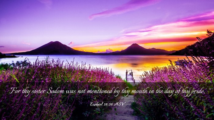 Picture 03 - Ezekiel 16:56 ASV Desktop Wallpaper - For thy sister Sodom was not mentioned by thy - Desktop Bible Verse Wallpaper