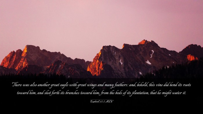 Picture 03 - Ezekiel 17:7 ASV Desktop Wallpaper - There was also another great eagle with great - Desktop Bible Verse Wallpaper