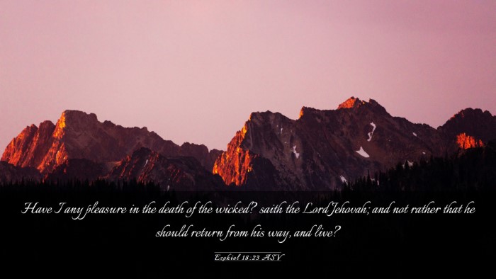 Picture 03 - Ezekiel 18:23 ASV Desktop Wallpaper - Have I any pleasure in the death of the wicked? - Desktop Bible Verse Wallpaper