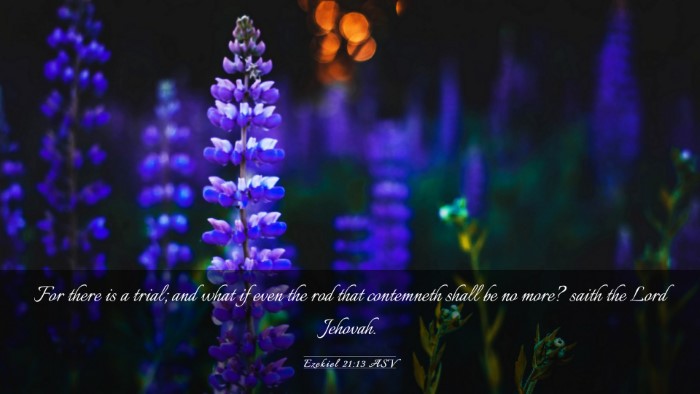 Picture 03 - Ezekiel 21:13 ASV Desktop Wallpaper - For there is a trial; and what if even the rod - Desktop Bible Verse Wallpaper