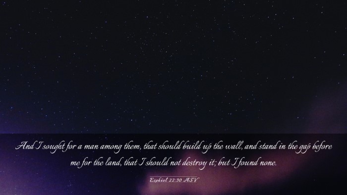 Picture 03 - Ezekiel 22:30 ASV Desktop Wallpaper - And I sought for a man among them, that should - Desktop Bible Verse Wallpaper