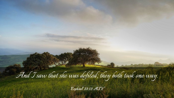 Picture 03 - Ezekiel 23:13 ASV Desktop Wallpaper - And I saw that she was defiled; they both took - Desktop Bible Verse Wallpaper