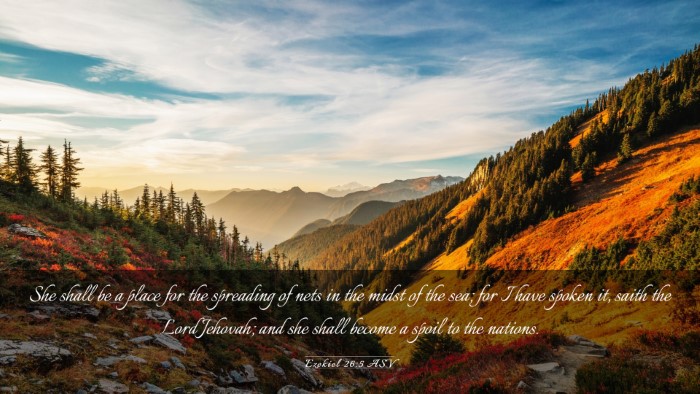 Picture 03 - Ezekiel 26:5 ASV Desktop Wallpaper - She shall be a place for the spreading of nets in - Desktop Bible Verse Wallpaper