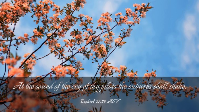 Picture 03 - Ezekiel 27:28 ASV Desktop Wallpaper - At the sound of the cry of thy pilots the suburbs - Desktop Bible Verse Wallpaper