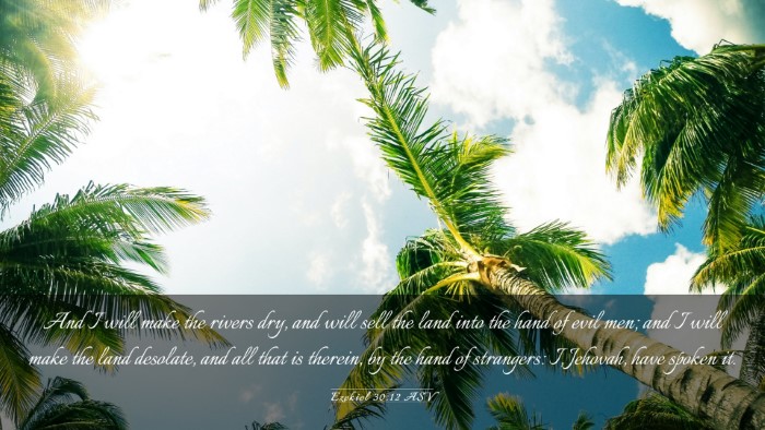 Picture 03 - Ezekiel 30:12 ASV Desktop Wallpaper - And I will make the rivers dry, and will sell the - Desktop Bible Verse Wallpaper