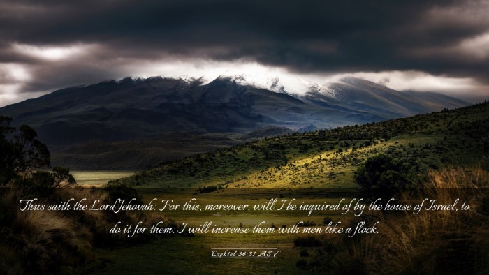 Picture 03 - Ezekiel 36:37 ASV Desktop Wallpaper - Thus saith the Lord Jehovah: For this, moreover, - Desktop Bible Verse Wallpaper