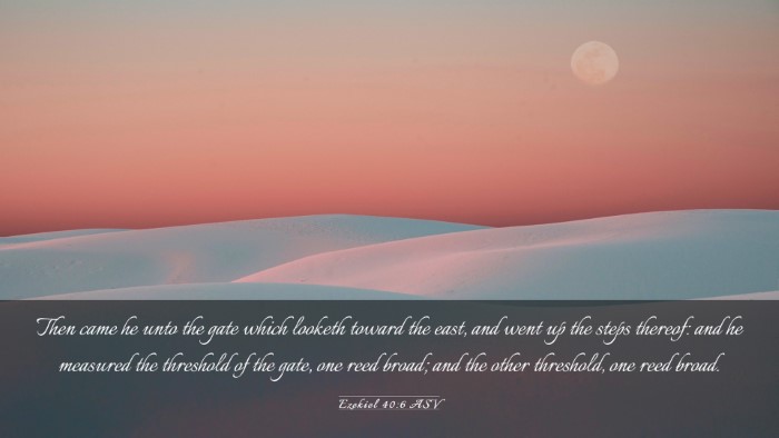 Picture 03 - Ezekiel 40:6 ASV Desktop Wallpaper - Then came he unto the gate which looketh toward - Desktop Bible Verse Wallpaper