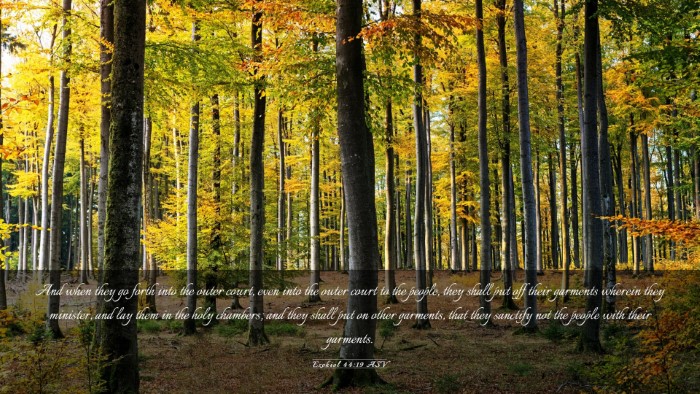 Picture 03 - Ezekiel 44:19 ASV Desktop Wallpaper - And when they go forth into the outer court, even - Desktop Bible Verse Wallpaper