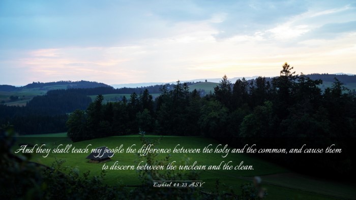 Picture 03 - Ezekiel 44:23 ASV Desktop Wallpaper - And they shall teach my people the difference - Desktop Bible Verse Wallpaper
