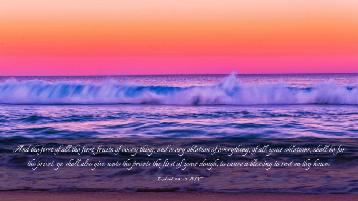 Picture 03 - Ezekiel 44:30 ASV Desktop Wallpaper - And the first of all the first-fruits of every - Desktop Bible Verse Wallpaper
