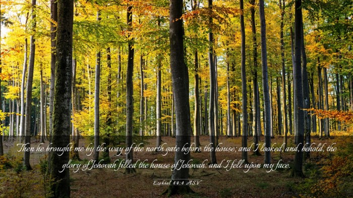Picture 03 - Ezekiel 44:4 ASV Desktop Wallpaper - Then he brought me by the way of the north gate - Desktop Bible Verse Wallpaper