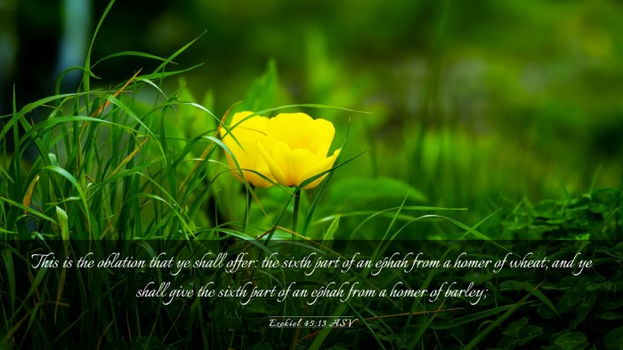Picture 03 - Ezekiel 45:13 ASV Desktop Wallpaper - This is the oblation that ye shall offer: the - Desktop Bible Verse Wallpaper