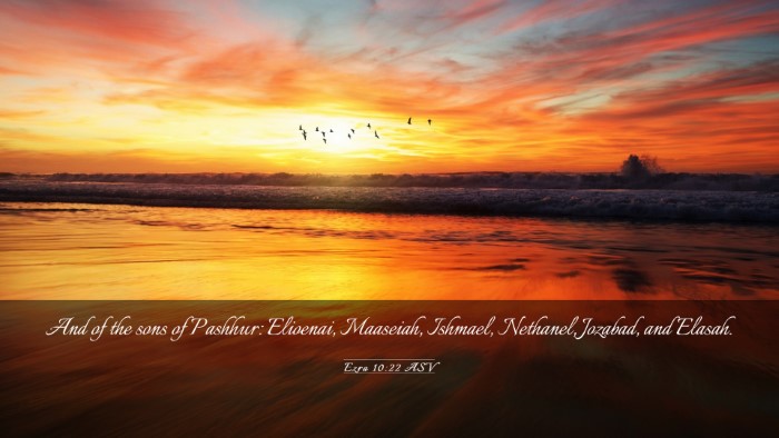 Picture 03 - Ezra 10:22 ASV Desktop Wallpaper - And of the sons of Pashhur: Elioenai, Maaseiah, - Desktop Bible Verse Wallpaper