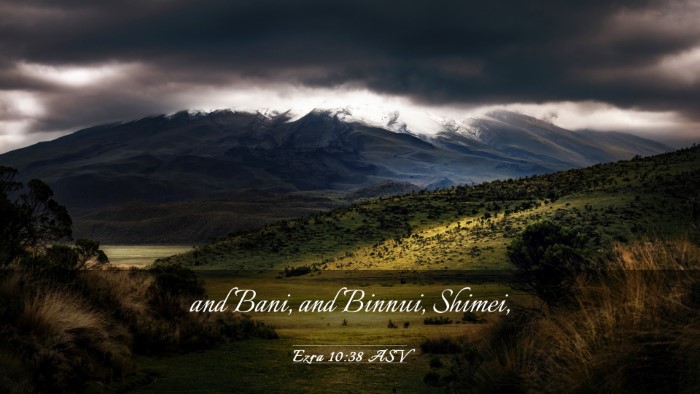 Picture 03 - Ezra 10:38 ASV Desktop Wallpaper - and Bani, and Binnui, - Desktop Bible Verse Wallpaper