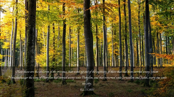 Picture 03 - Ezra 2:1 ASV Desktop Wallpaper - Now these are the children of the province, that - Desktop Bible Verse Wallpaper