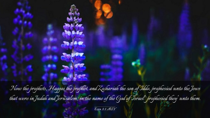 Picture 03 - Ezra 5:1 ASV Desktop Wallpaper - Now the prophets, Haggai the prophet, and - Desktop Bible Verse Wallpaper
