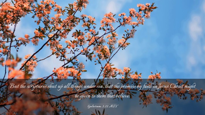 Picture 03 - Galatians 3:22 ASV Desktop Wallpaper - But the scriptures shut up all things under sin, - Desktop Bible Verse Wallpaper