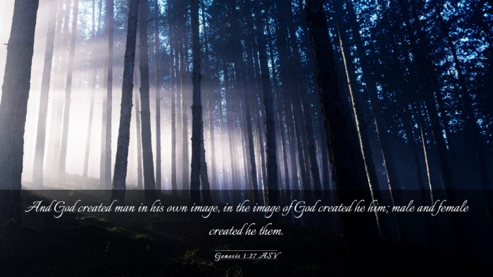 Picture 03 - Genesis 1:27 ASV Desktop Wallpaper - And God created man in his own image, in the - Desktop Bible Verse Wallpaper