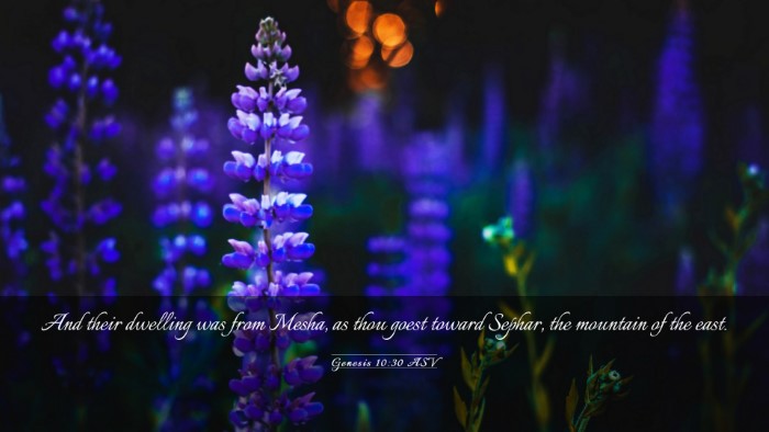 Picture 03 - Genesis 10:30 ASV Desktop Wallpaper - And their dwelling was from Mesha, as thou goest - Desktop Bible Verse Wallpaper