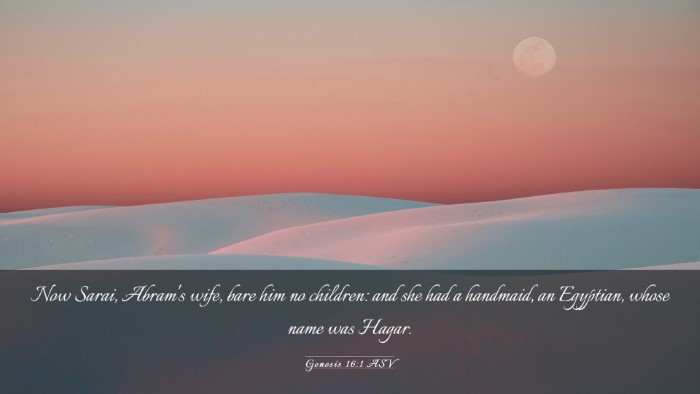 Picture 03 - Genesis 16:1 ASV Desktop Wallpaper - Now Sarai, Abram's wife, bare him no children: - Desktop Bible Verse Wallpaper