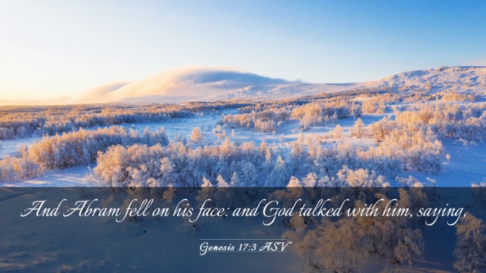 Picture 03 - Genesis 17:3 ASV Desktop Wallpaper - And Abram fell on his face: and God talked with - Desktop Bible Verse Wallpaper
