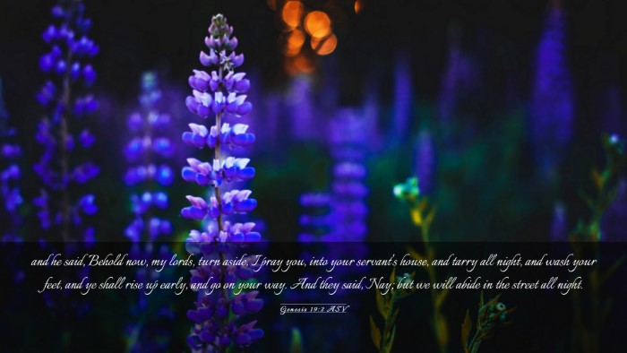 Picture 03 - Genesis 19:2 ASV Desktop Wallpaper - and he said, Behold now, my lords, turn aside, I - Desktop Bible Verse Wallpaper