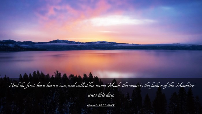 Picture 03 - Genesis 19:37 ASV Desktop Wallpaper - And the first-born bare a son, and called his - Desktop Bible Verse Wallpaper