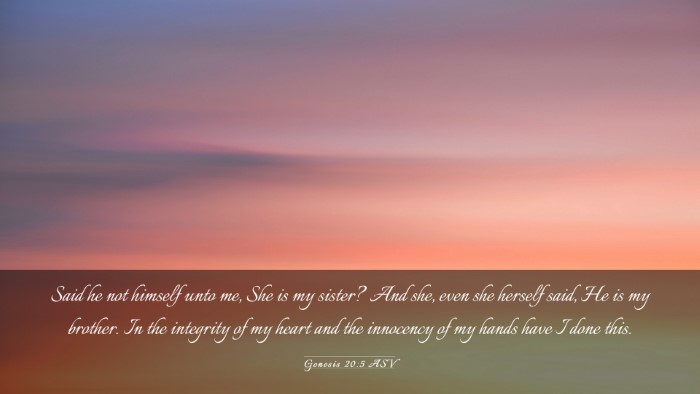 Picture 03 - Genesis 20:5 ASV Desktop Wallpaper - Said he not himself unto me, She is my sister? - Desktop Bible Verse Wallpaper