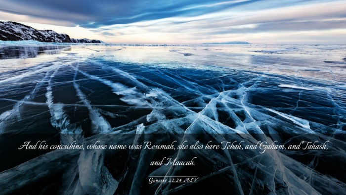 Picture 03 - Genesis 22:24 ASV Desktop Wallpaper - And his concubine, whose name was Reumah, she - Desktop Bible Verse Wallpaper
