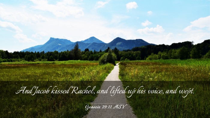 Picture 03 - Genesis 29:11 ASV Desktop Wallpaper - And Jacob kissed Rachel, and lifted up his voice, - Desktop Bible Verse Wallpaper