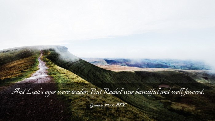 Picture 03 - Genesis 29:17 ASV Desktop Wallpaper - And Leah's eyes were tender. But Rachel was - Desktop Bible Verse Wallpaper