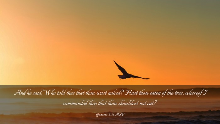 Picture 03 - Genesis 3:11 ASV Desktop Wallpaper - And he said, Who told thee that thou wast naked? - Desktop Bible Verse Wallpaper