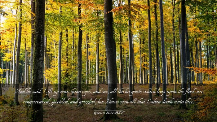 Picture 03 - Genesis 31:12 ASV Desktop Wallpaper - And he said, Lift up now thine eyes, and see, all - Desktop Bible Verse Wallpaper