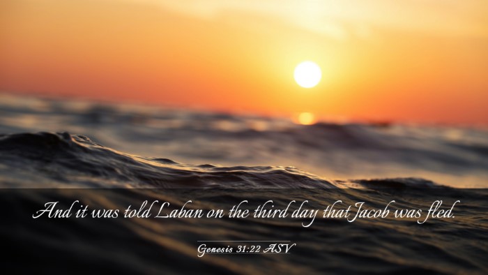 Picture 03 - Genesis 31:22 ASV Desktop Wallpaper - And it was told Laban on the third day that Jacob - Desktop Bible Verse Wallpaper