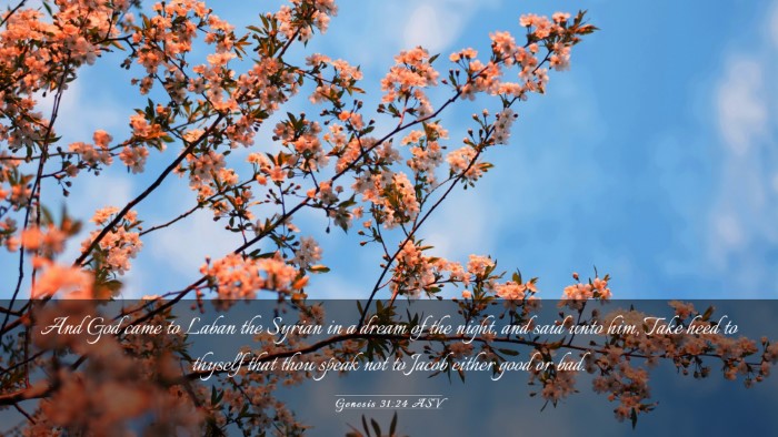 Picture 03 - Genesis 31:24 ASV Desktop Wallpaper - And God came to Laban the Syrian in a dream of - Desktop Bible Verse Wallpaper