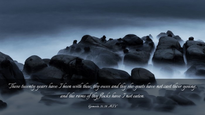 Picture 03 - Genesis 31:38 ASV Desktop Wallpaper - These twenty years have I been with thee; thy - Desktop Bible Verse Wallpaper