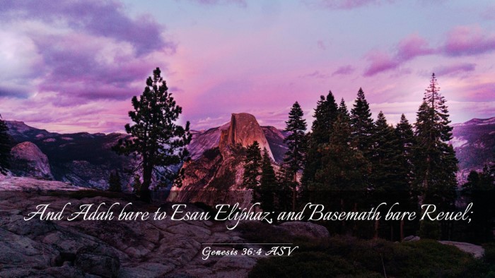 Picture 03 - Genesis 36:4 ASV Desktop Wallpaper - And Adah bare to Esau Eliphaz; and Basemath bare - Desktop Bible Verse Wallpaper