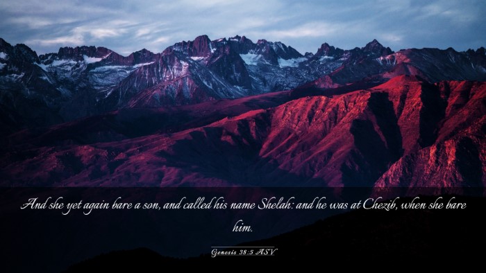 Picture 03 - Genesis 38:5 ASV Desktop Wallpaper - And she yet again bare a son, and called his name - Desktop Bible Verse Wallpaper