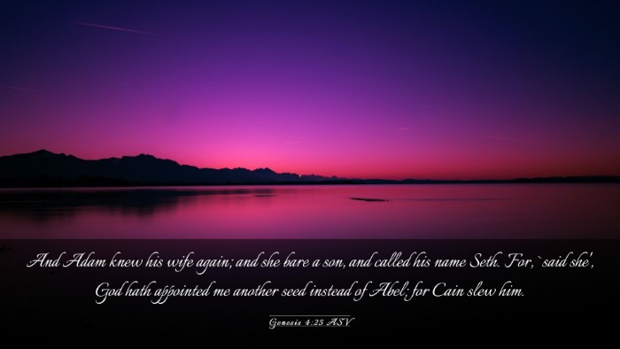 Picture 03 - Genesis 4:25 ASV Desktop Wallpaper - And Adam knew his wife again; and she bare a son, - Desktop Bible Verse Wallpaper