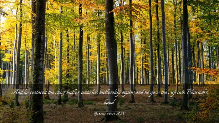 Picture 03 - Genesis 40:21 ASV Desktop Wallpaper - And he restored the chief butler unto his - Desktop Bible Verse Wallpaper