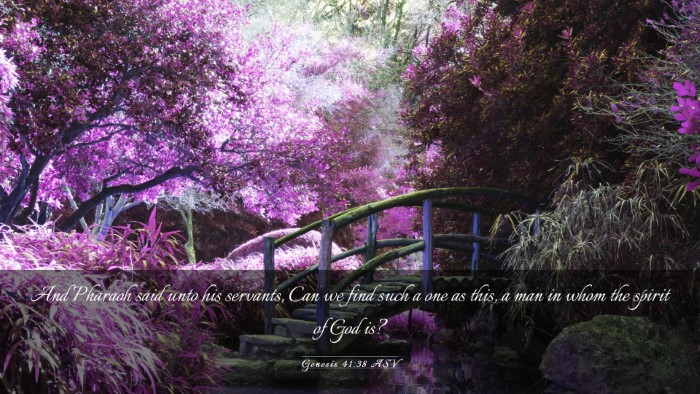 Picture 03 - Genesis 41:38 ASV Desktop Wallpaper - And Pharaoh said unto his servants, Can we find - Desktop Bible Verse Wallpaper